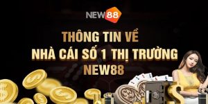 Đôi nét về nhà cái New88