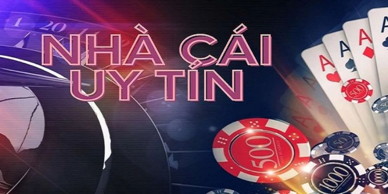 Gợi ý cách chọn ra địa chỉ nhà cái uy tín nhất cho anh em