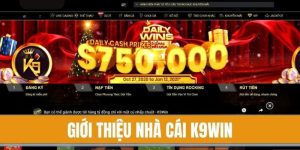 Top 10 nhà cái có casino trực tuyến uy tín dành cho các cược thủ